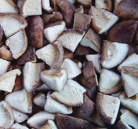 Shiitake