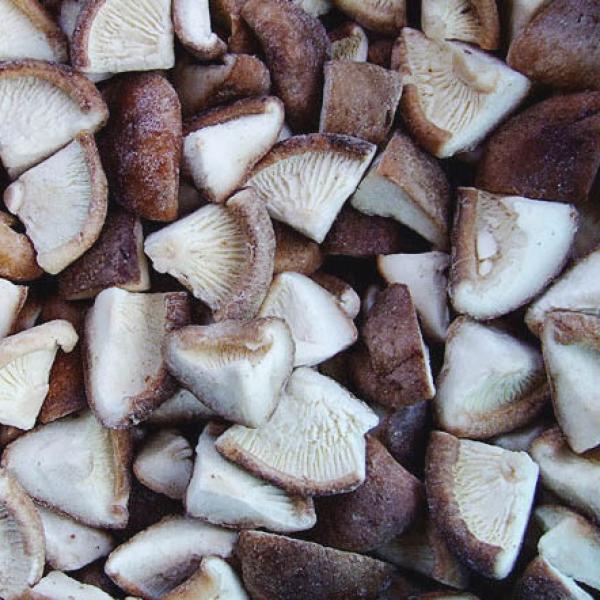 Shiitake